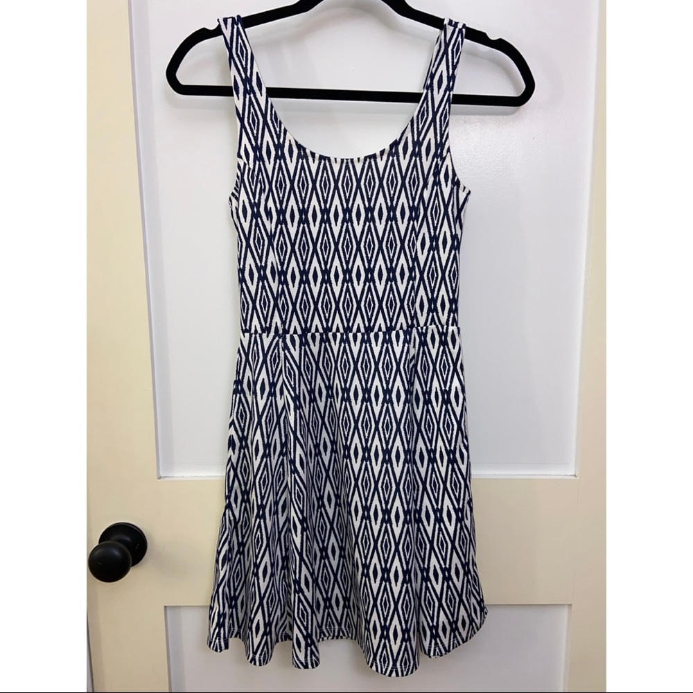 Blue and White Print Skater Dress